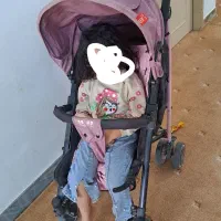 کالسکه عصایی خارجی