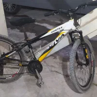 دوچرخه ویوا اصل تایوان