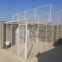 توربند،عشقبازی