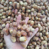 فروش محصولات جنوب|خوردنی و آشامیدنی|تهران, آرارات|دیوار