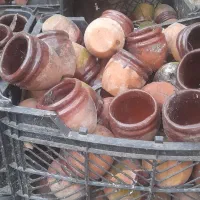 گلدونی کوچیک مخصوص کاکتوس|گل و گیاه طبیعی|احمدسرگوراب, |دیوار