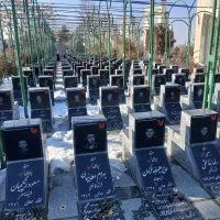 سینی پیدا شده در باغ بهشت