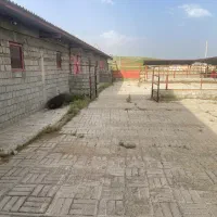 اجاره سالن و سوله|اجارهٔ دفتر صنعتی، کشاورزی، تجاری|سقز, |دیوار