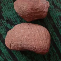 فسیل صدف|کلکسیون و سرگرمی|راور, |دیوار