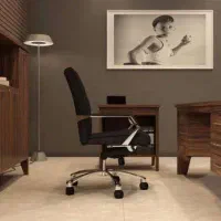 دستیار ارشدمدیر جانشین اجرایی مدیریت مالی و عملیات