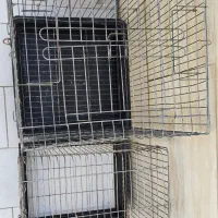 قفس پرنده