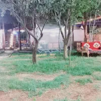 پرسنل خانم یااقاجهت کاردرکافه رستوران