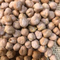 نخود کرمانشاه