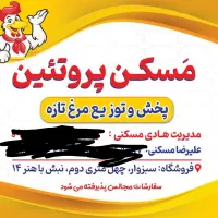 استخدام نیروی مرغ فروشی و توزیع