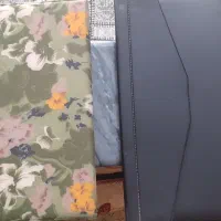 کلاسور