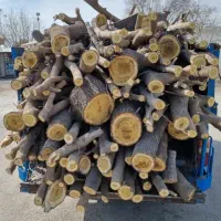 خرید انواع چوب و درخت|خدمات باغبانی و درختکاری|شوشتر, |دیوار