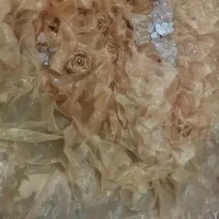 لباس مجلسی|لباس|سهند, |دیوار