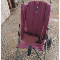 کالسکه مارک پیر گاردین