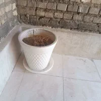 دوعدد گلدان بزرگ همراه زیری
