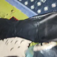 لوازم موتور|کیف، کفش، کمربند|سبزوار, ایزی شهر|دیوار