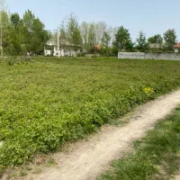 زمین برای فروش