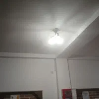 لامپ های شاخه ای زیبا