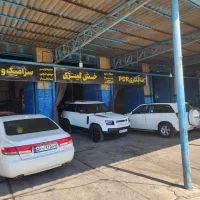 لیسه گیر و نقاش ماهر