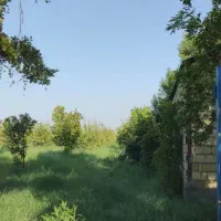 فروش باغچه ارزان قیمت|فروش خانه و ویلا|دزفول, |دیوار