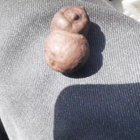 هبهاب سنگ قغ