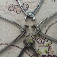 کفش ایمنی وانبر|کیف، کفش، کمربند|قم, انسجام|دیوار