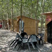 ویلا فول فرنیش شیک