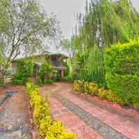 ویلا باغی مشجر با اسناد کامل در شهرک جاده دریا|فروش خانه و ویلا|بابلسر, |دیوار