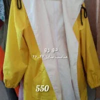 پوشاک|لباس|رشت, باهنر|دیوار