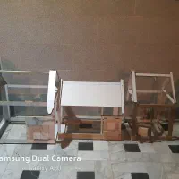 جوجه بوقلمون برنزه و بیوتی قفس و عروس هلندی مولد|حیوانات مزرعه|بیرجند, |دیوار