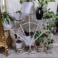 استند گل به همراه گل