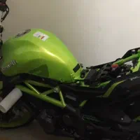 بنلی 300 دو سیلندر فسفری خشک402