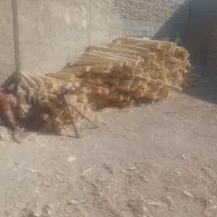 لایه چوب .جهت کف صندلی