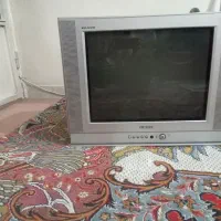تلویزیون