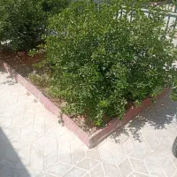 2-خواب-دلباز-شهرک-باهنر