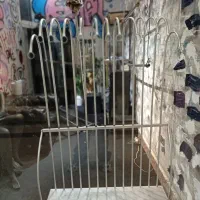 مانکن رگال مبل پرو پنکه جاروبرقی پرتابل رینگ لایت|فروشگاه و مغازه|تهران, تهرانپارس جنوبی|دیوار