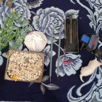 اکواریوم ابعاد 120|ماهی|اهر, |دیوار