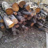 فروش ویژه چوب|عمده‌فروشی|تهران, جوادیه تهرانپارس|دیوار
