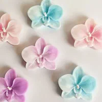 شمع ارکیده و انواع شمع های مختلف|صنایع دستی و سایر لوازم تزئینی|تهران, وحیدیه|دیوار