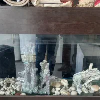 آکواریوم ماهی شیشه خم|ماهی|تهران, بیسیم|دیوار