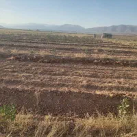 باغ پسته 4000 متری