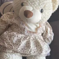 خرس متوسط کوچک