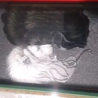 قاب گوشی|لوازم جانبی موبایل و تبلت|هشتگرد, فاز ۷ مهستان|دیوار