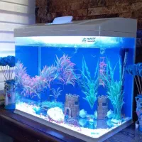 آکواریوم شرکتی