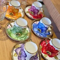 ظروف پذیرایی وچای خوری