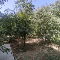 فروش-یک-قطعه-باغ-روستای-کرمجگان
