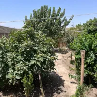 خونه-باغ-جادع-قمصر-بر-جاده