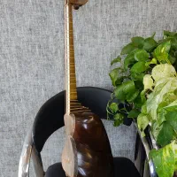 تار حرفه ای خوش صدا|سازهای سنتی|جهرم, |دیوار