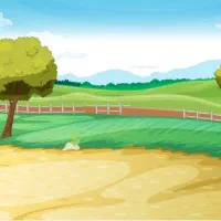 زمین-305-متر-در-انتهای-30-متری-جنوبی