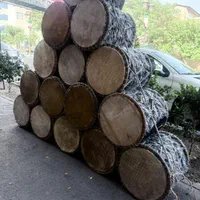 دمام درجه یک شتر|درام و پرکاشن|تهران, بهارستان|دیوار
