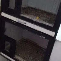 قفس پرنده رایگان رایگان رایگان